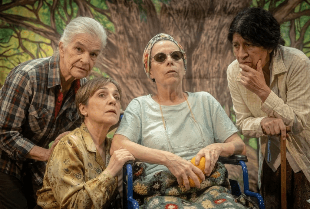 La imagen actual no tiene texto alternativo. El nombre del archivo es: matria-2.png